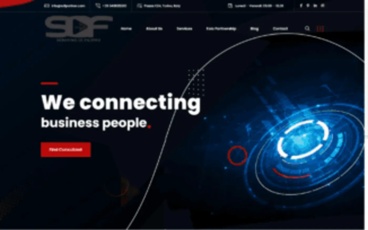 Homepage di SDF Partner